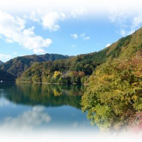 ダム婚活