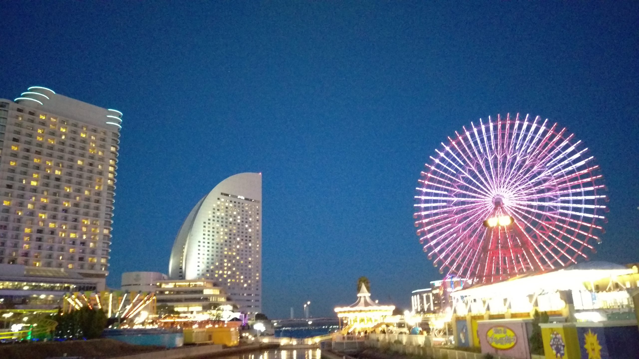 海辺の公園から見える観覧車とホテル群の夜景