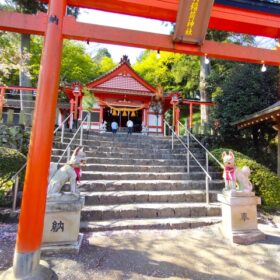 神社の石段と赤い鳥居
