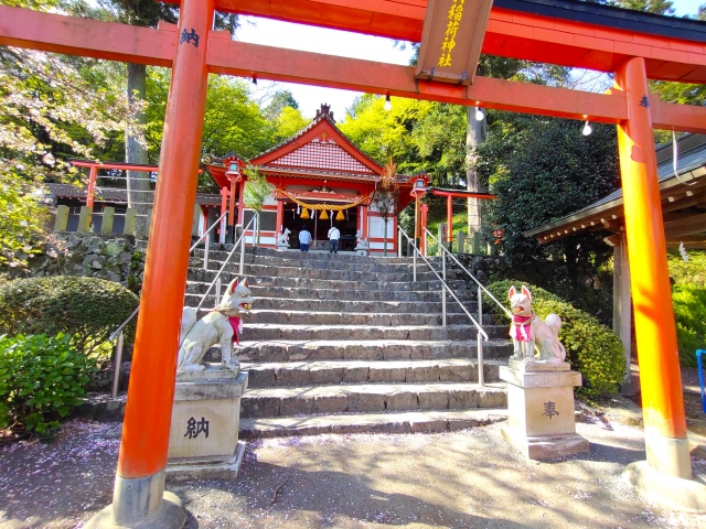 神社の石段と赤い鳥居