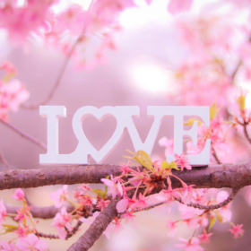 桜の樹の枝に置かれたLOVEのオブジェ